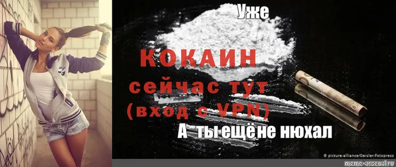 Cocaine Эквадор  Новодвинск 